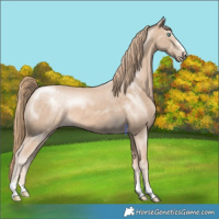 Horse Color:Perlino 
