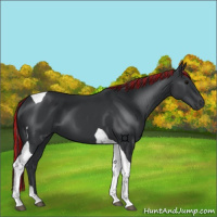Horse Color:Painted Black Tobiano 