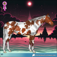Horse Color:White Spotted Silver Bay 