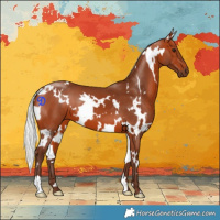 Horse Color:White Spotted Silver Bay 