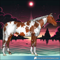 Horse Color:White Spotted Silver Bay 