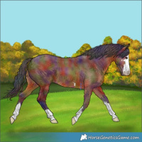 Horse Color:Nacre Bay 