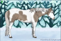 Horse Color:Silver Grullo Splash Tobiano