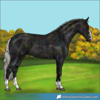 Horse Color:Midnight Silver Brown Ice 