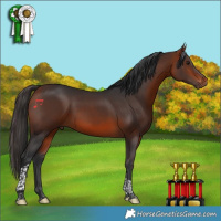 Horse Color:Bay Tobiano Rabicano