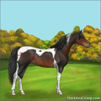 Horse Color:Brown Tobiano Rabicano 