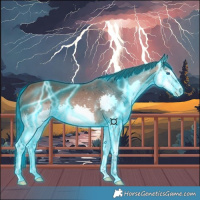 Horse Color:Thunderstruck Bay Splash 