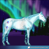 Horse Color:Gray Void Thunderstruck Bay Ice Splash Tobiano