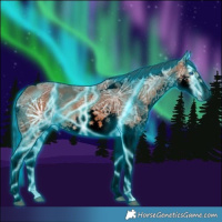Horse Color:Gray Void Thunderstruck Bay Ice Splash Tobiano