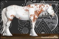 Horse Color:Silver Bay Sabino Rabicano 