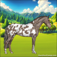 Horse Color:Liver Red Dun Mushroom Blanket Brindle 