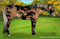 Horse Color:Gray Void Silver Amber Champagne Splash Tobiano 