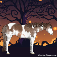 Horse Color:Liver Chestnut Splash Tobiano 