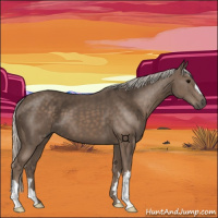 Horse Color:Silver Black 