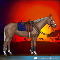 Horse Color:Silver Black 