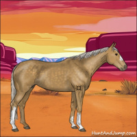 Horse Color:Silver Smoky Black 