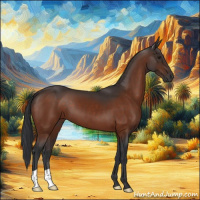 Horse Color:Brown 