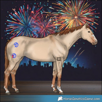 Horse Color:Red Dun 