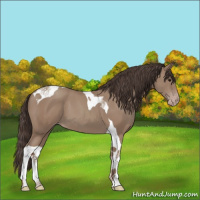 Horse Color:Classic Champagne Tobiano