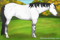 Horse Color:Bay Chinchilla Onyx 