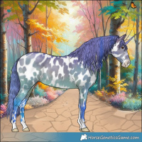 Horse Color:Watercolor Bay Dun Sabino Appaloosa 
