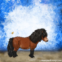 Horse Color:Gray Bay 