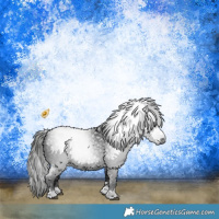 Horse Color:Gray Black 