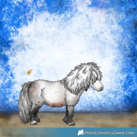 Horse Color:Gray Bay 