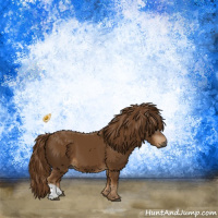 Horse Color:Gray Chestnut 