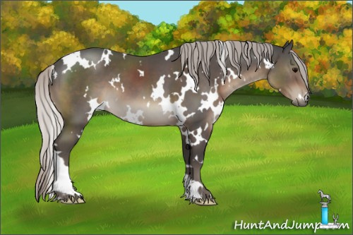 Horse Color:White Spotted Silver Black 