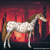 Horse Color:Chestnut Tobiano Near Leopard 