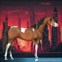 Horse Color:Bay Sabino Tobiano