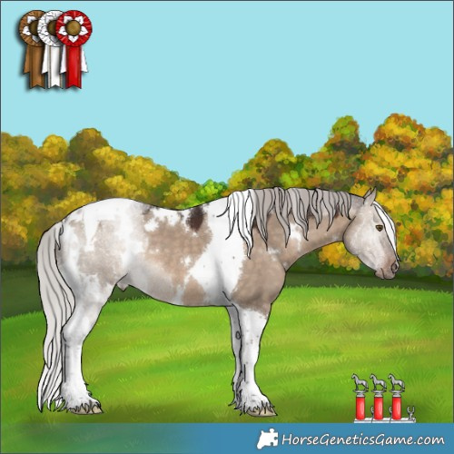 Horse Color:White Spotted Silver Brown Dun Tobiano 