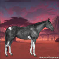 Horse Color:Black Tobiano 