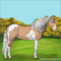 Horse Color:Silver Bay Dun Splash Tobiano 