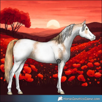 Horse Color:White Spotted Chestnut Sabino