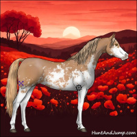 Horse Color:Chestnut Sabino