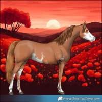 Horse Color:Chestnut Sabino 