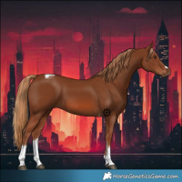 Horse Color:Chestnut Tobiano