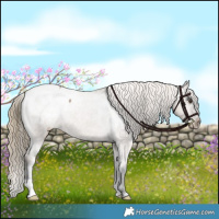 Horse Color:Liver Red Dun Varnish Brindle 