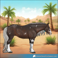 Horse Color:White Spotted Silver Brown Sabino Splash Rabicano 