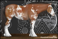 Horse Color:Bay Sabino 