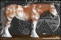 Horse Color:Bay Sabino Rabicano 