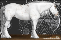 Horse Color:Bay Sabino 