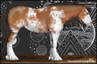 Horse Color:Bay Sabino 