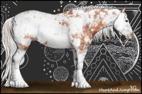 Horse Color:Silver Bay Sabino 