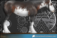 Horse Color:White Spotted Bay 