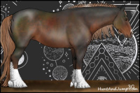 Horse Color:Liver Chestnut Sabino Rabicano 