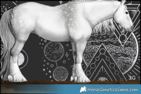 Horse Color:Gray White Spotted Bay 