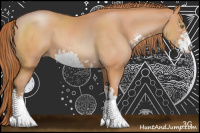 Horse Color:Bay Pearl Sabino 